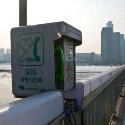 පුරුෂ සියදිවි නසාගැනීම් ඉහළ යාම ගැන දේශපාලකයෙක් කාන්තාවන්ට දොස් නගයි